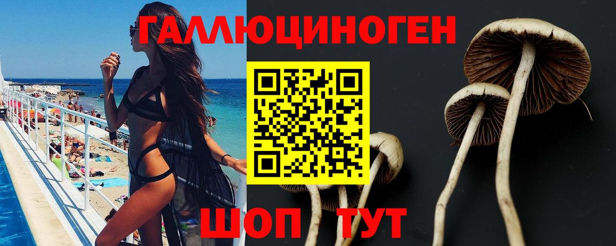 Галлюциногенные грибы Psilocybe  Галлюциногенные грибы Cubensis  Вход с VPN  Рузаевка 